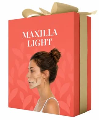 Maxilla Light course
