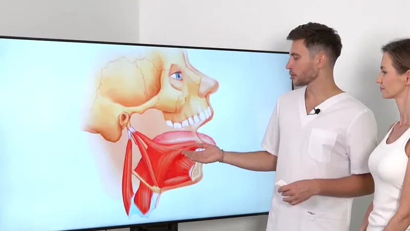 Facial muscle anatomy explained