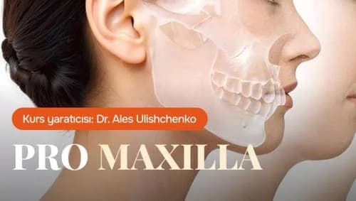 Maksilla