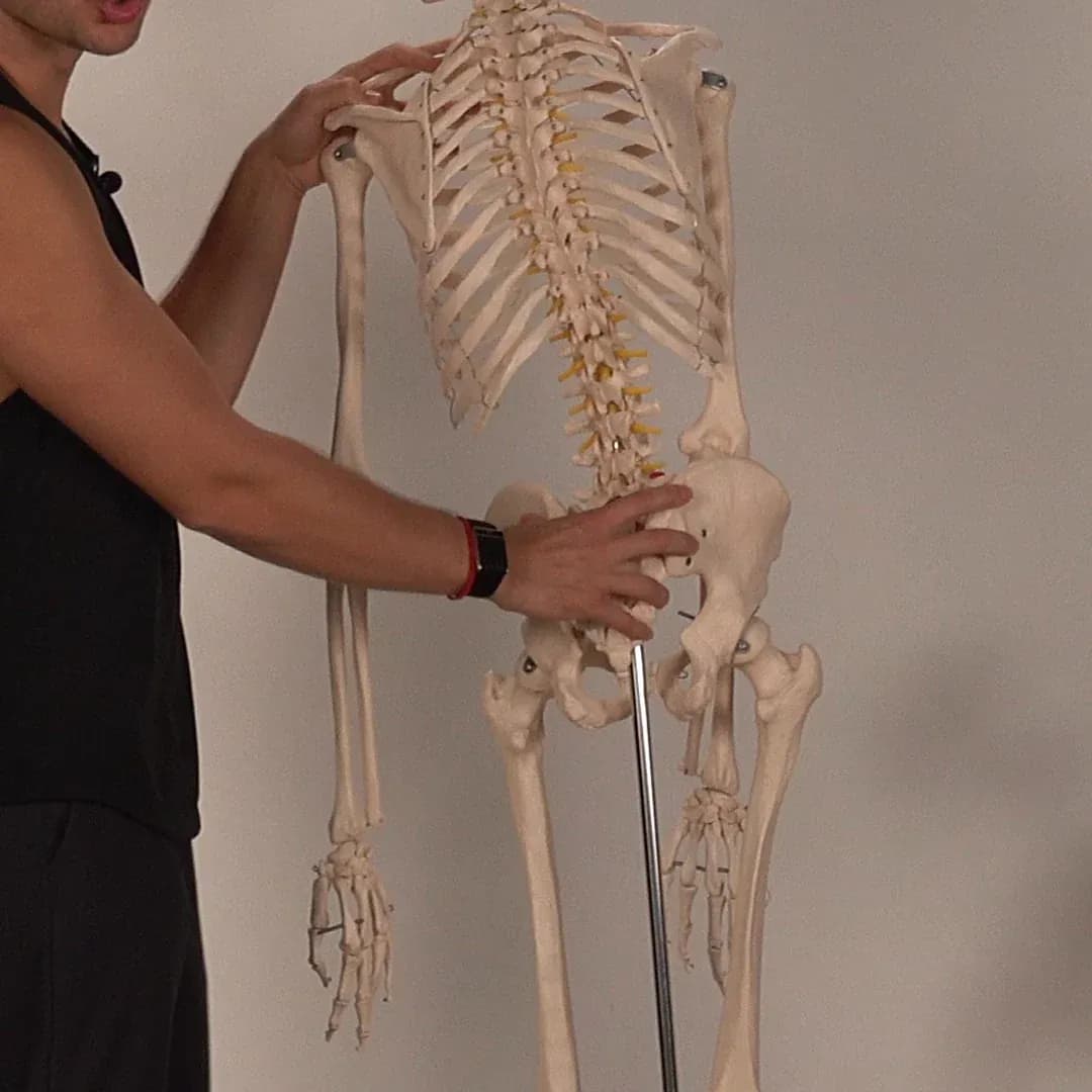 Close-up work where the lumbar spine meets the pelvis