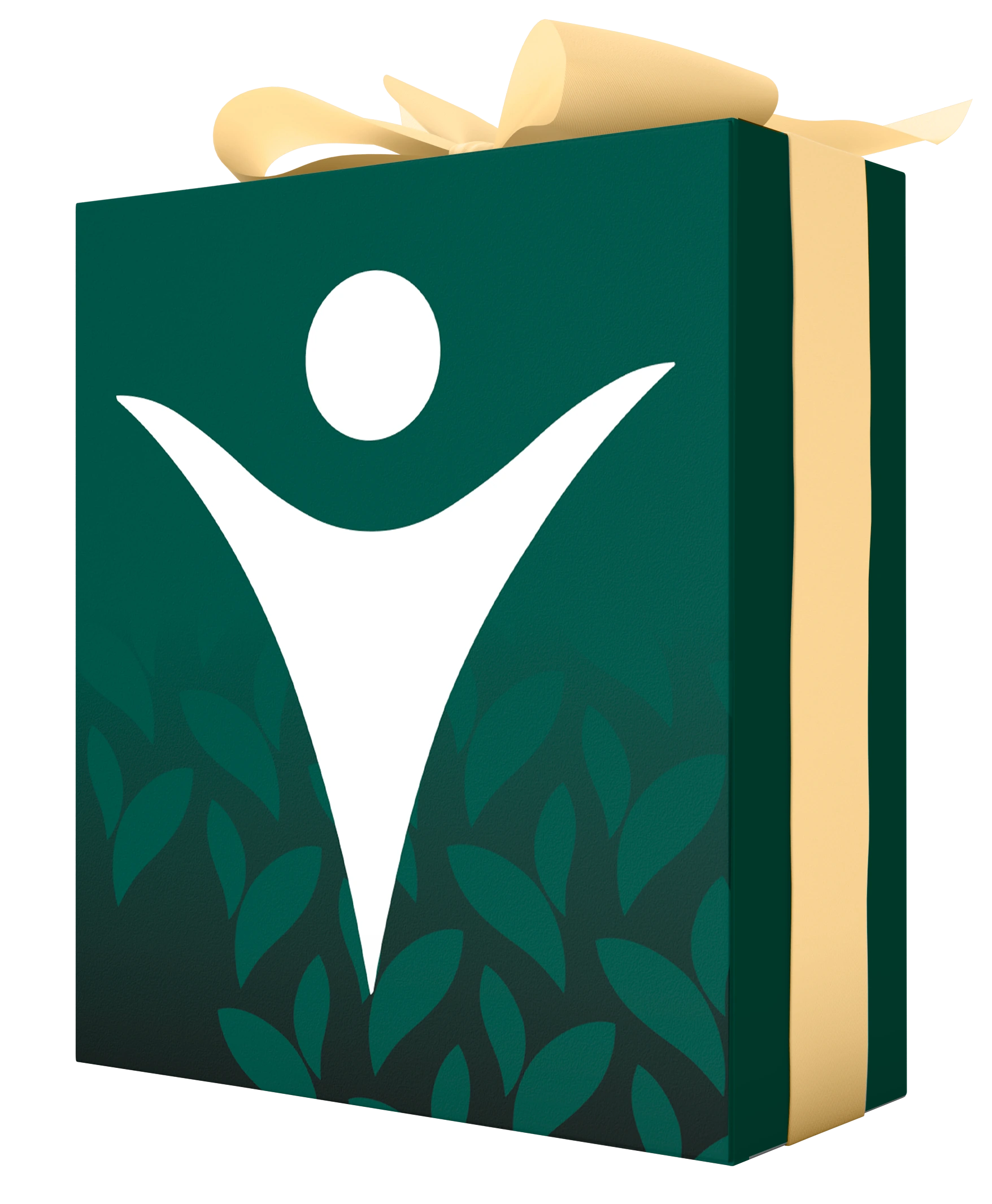 MindBodyFace course bundle box
