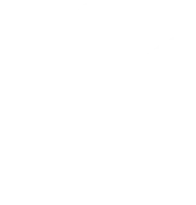 MindBodyFace